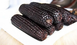 黑玉米,神秘色彩中的营养瑰宝